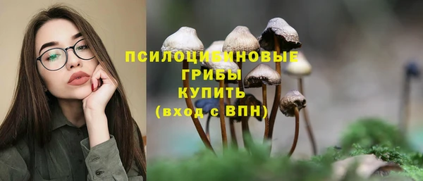 молекула духа Волосово