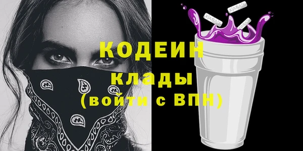 индика Щучье