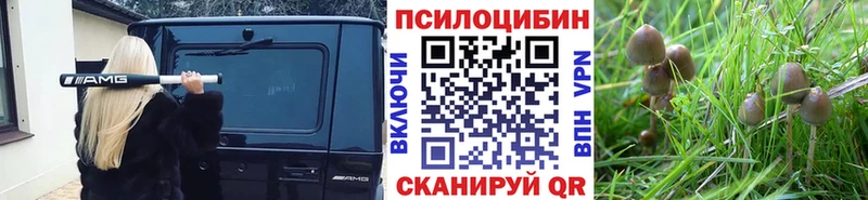 даркнет сайт  Воскресенск  Псилоцибиновые грибы GOLDEN TEACHER 